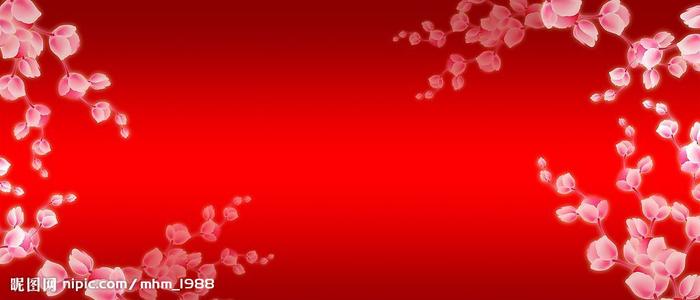 南安普顿索伦特大学 Business diploma